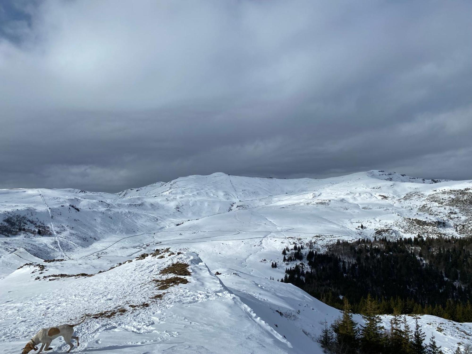 Charmant Appartement Au Coeur Des Volcans D Auvergne Murat  Dış mekan fotoğraf